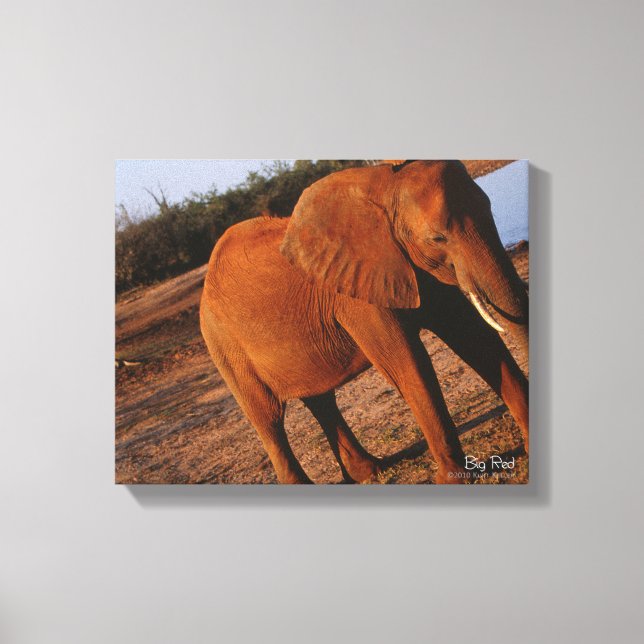 Big Red Canvas Print (Front)
