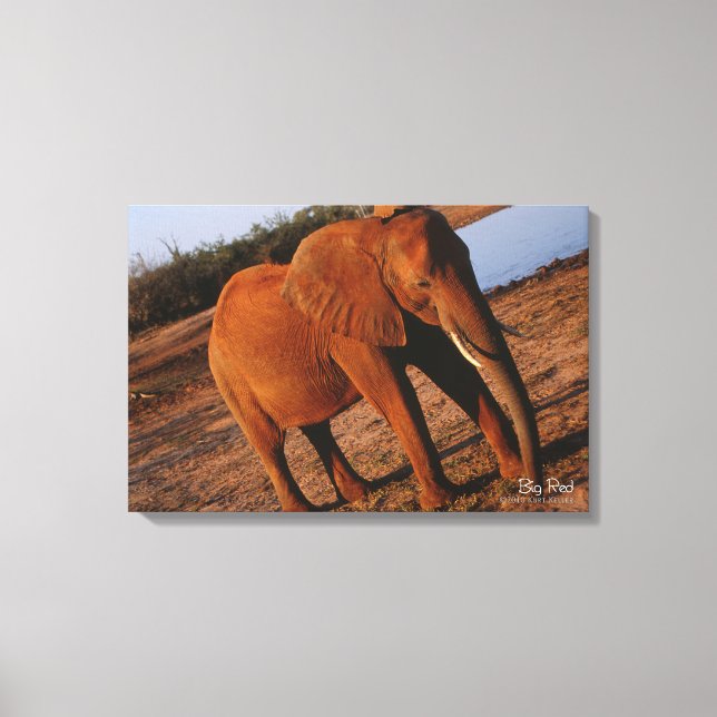 Big Red Canvas Print (Front)
