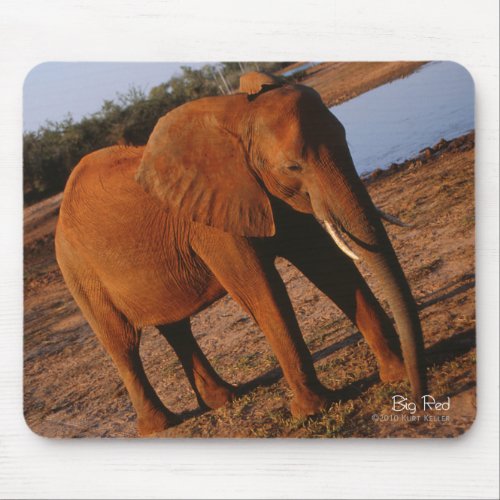 Big Red Elephant Mouse Pad