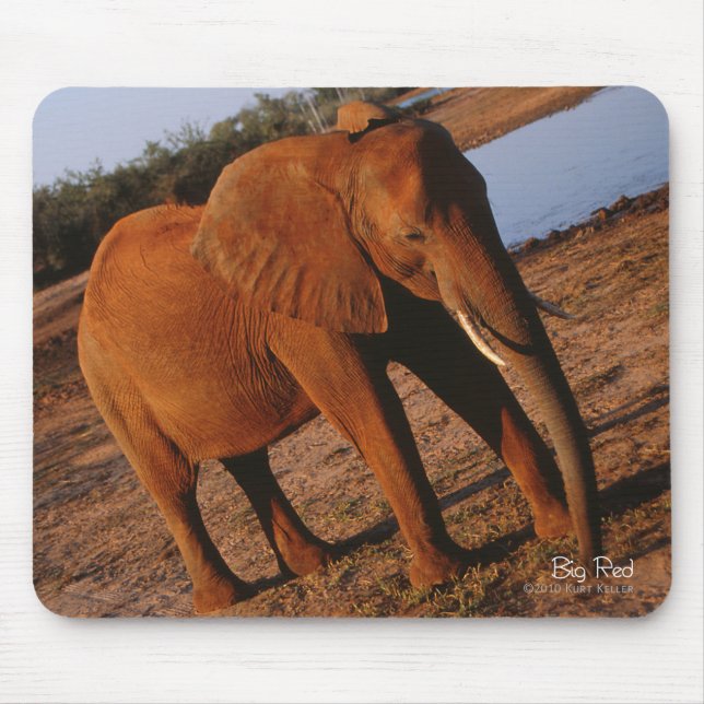 Big Red Elephant Mouse Pad (Front)