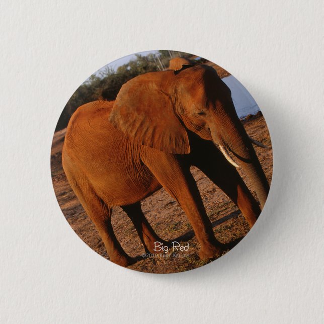 Big Red Elephant Pinback Button (Front)
