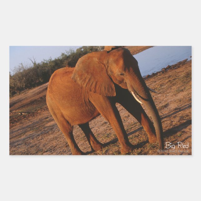 Big Red Elephant Stickers (Front)