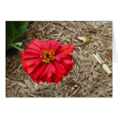 Big Red Flower Card (Front Horizontal)