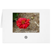 Big Red Flower Card (Back Horizontal)