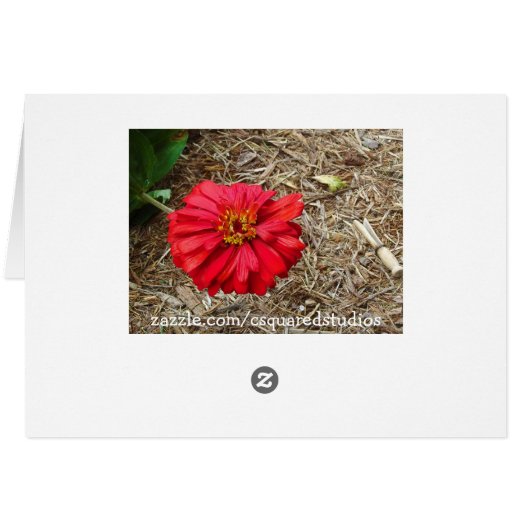 Big Red Flower Card (Back Horizontal)