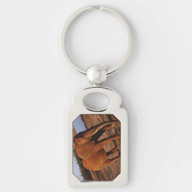 Big Red Keychain (Front)