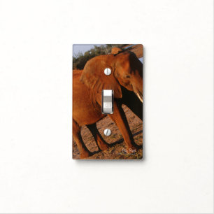 Big Red Light Switch Cover