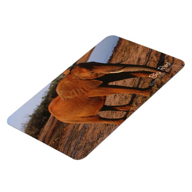 Big Red Magnet (Left Side)