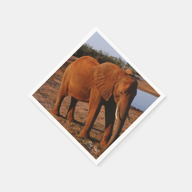 Big Red Paper Napkins (Corner)