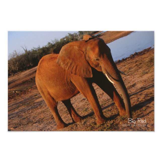 Big Red Photo Print (Front)