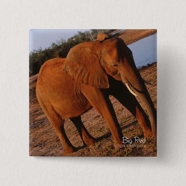 Big Red Pinback Button (Front)