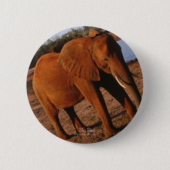 Big Red Pinback Button (Front)