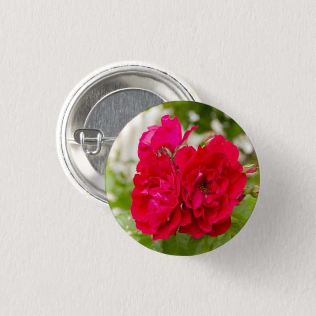 Big red roses in the garden   button (Front & Back)