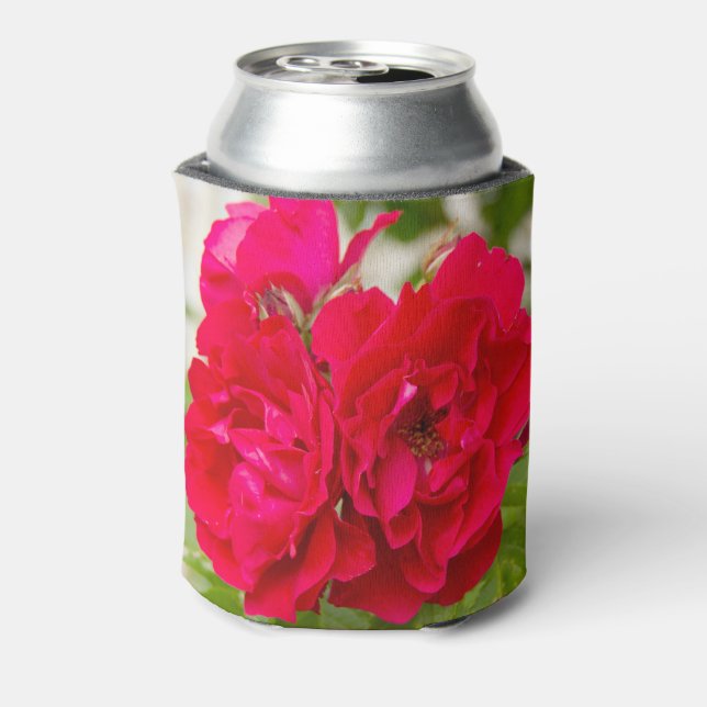 Big red roses in the garden   can cooler (Can Back)