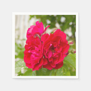 Big red roses in the garden napkins