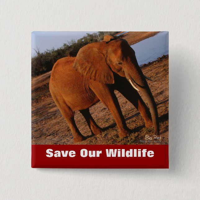 Big Red Save Our Wildlife Button (Front)