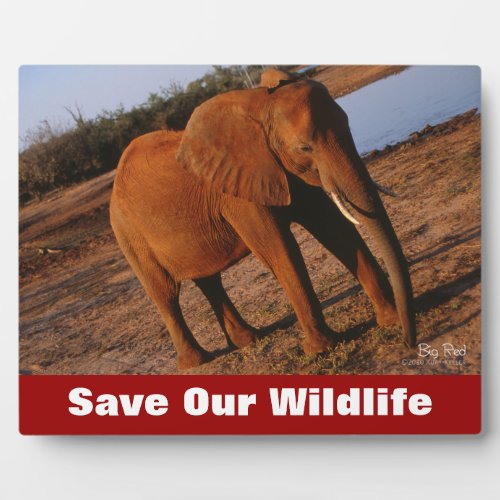 Big Red Save Our Wildlife Plaque