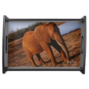 Big Red Serving Tray