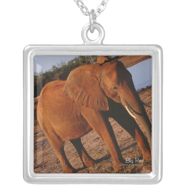 Big Red Silver Plated Necklace (Front)