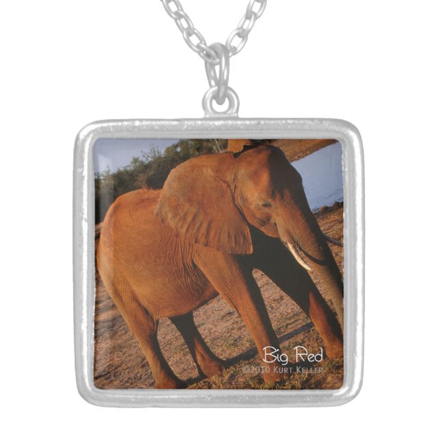 Big Red Silver Plated Necklace (Front)