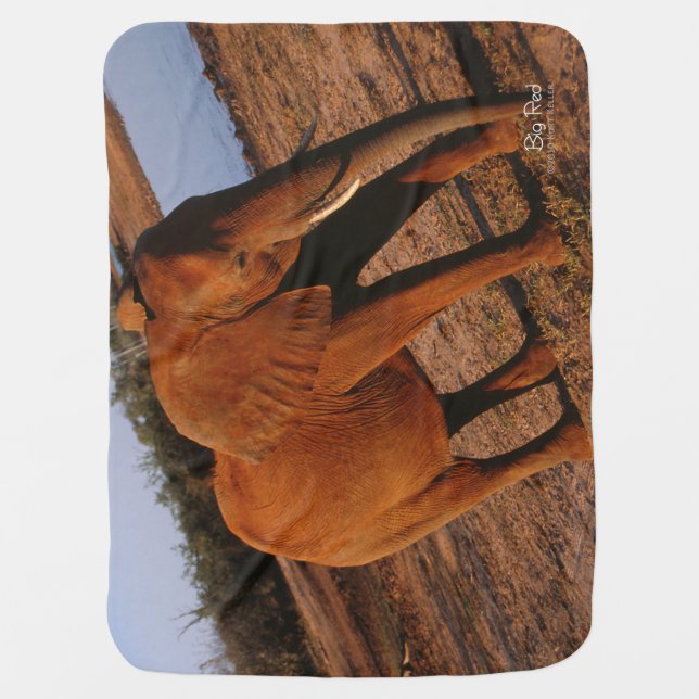 Big Red Stroller Blanket (Front)