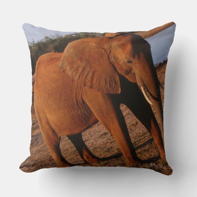 Big Red Throw Pillow (Front)