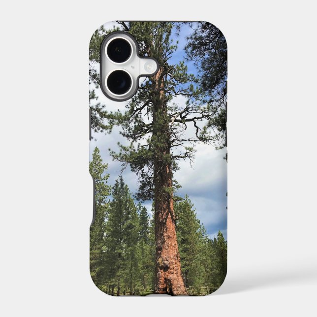 Big Red Tree, La Pine, OR Iphone Case (Back)