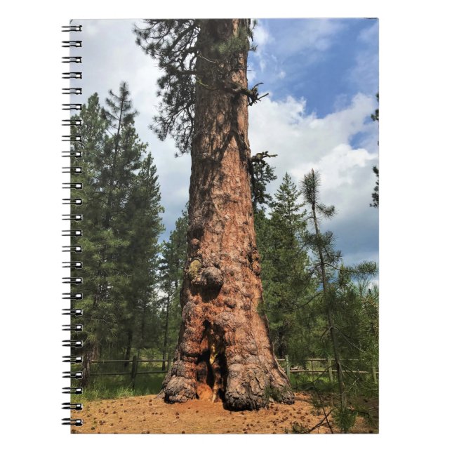 Big Red Tree, La Pine, OR Notebook (Front)