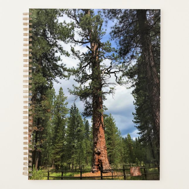 Big Red Tree, La Pine, OR Planner (Front)