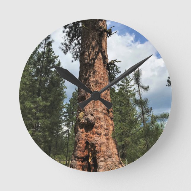 Big Red Tree, La Pine, OR Round Clock (Front)