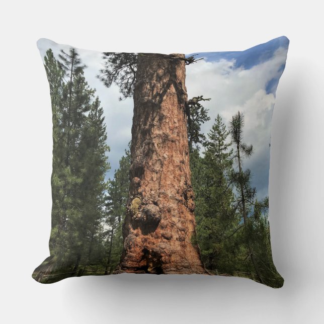 Big Red Tree, La Pine, OR Throw Pillow (Front)