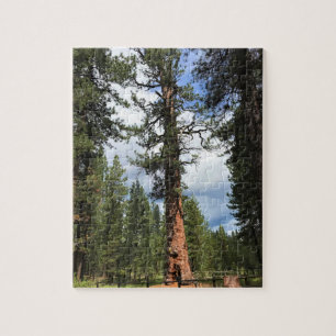 Big Red Tree, La Pine, Oregon Jigsaw Puzzle