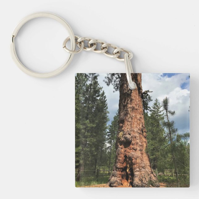 Big Red Tree, La Pine, Oregon Keychain (Front)