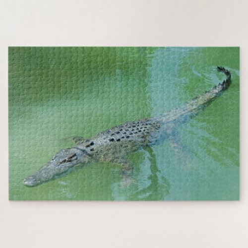 Big Saltwater Crocodile Australia 1014 pieces Jigsaw Puzzle