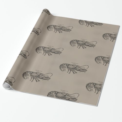 Big Sandy Lobster Wrapping Paper