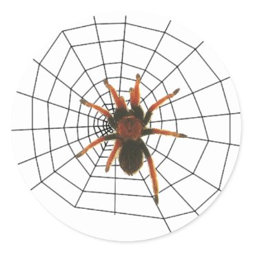 big scary spider classic round sticker