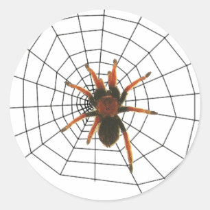 big scary spider classic round sticker