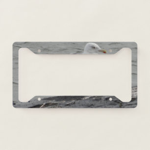 Big seagull license plate frame