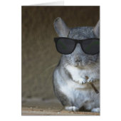 Big Shot Chinchilla (Front)