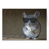 Big Shot Chinchilla (Front Horizontal)