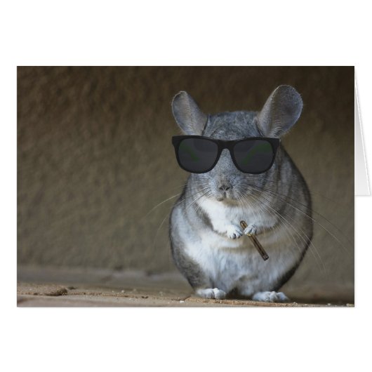 Big Shot Chinchilla Cards (Front Horizontal)