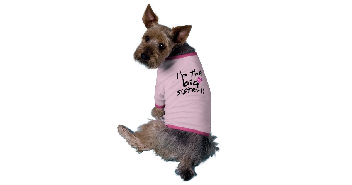 Big Sister Dog Shirt Zazzle