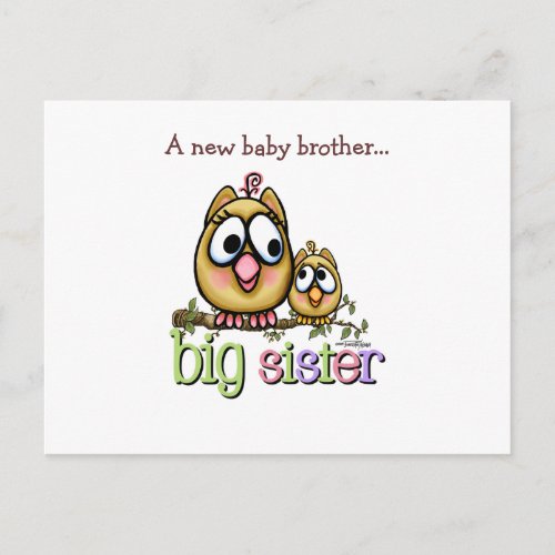 Big Sister _ little Brother Announcement Postcard