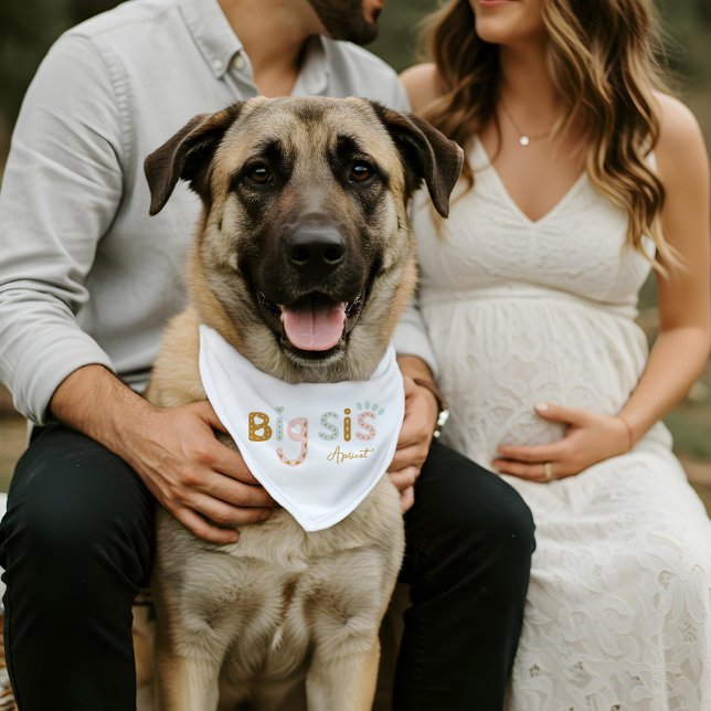 Big Sister Pet Paw Print Fun Baby Announcement Pet Bandana Collar (Big Sister Pet Paw Print Fun Baby Announcement Pet Bandana Collar)