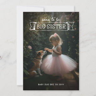 Big Sister Pregnancy Announcement Photo