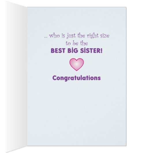 Big Sister Purple, Pink Princess and Castle (Inside (Right))