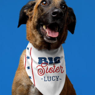 Big Sister Stars & Stripes Pattern Pet Bandana Collar