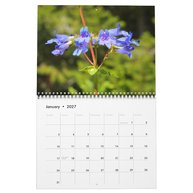 Big Sky Country Wildflowers 2012 Calendar (Jan 2027)