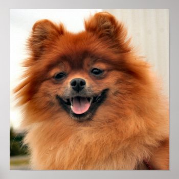 Big Smile Poster by Madddy at Zazzle