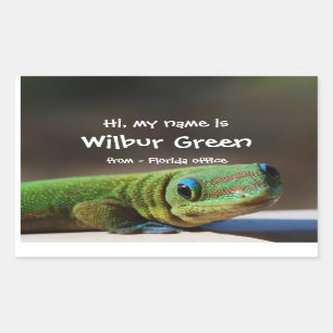 Big Smiling Gecko Name Badge Rectangular Sticker